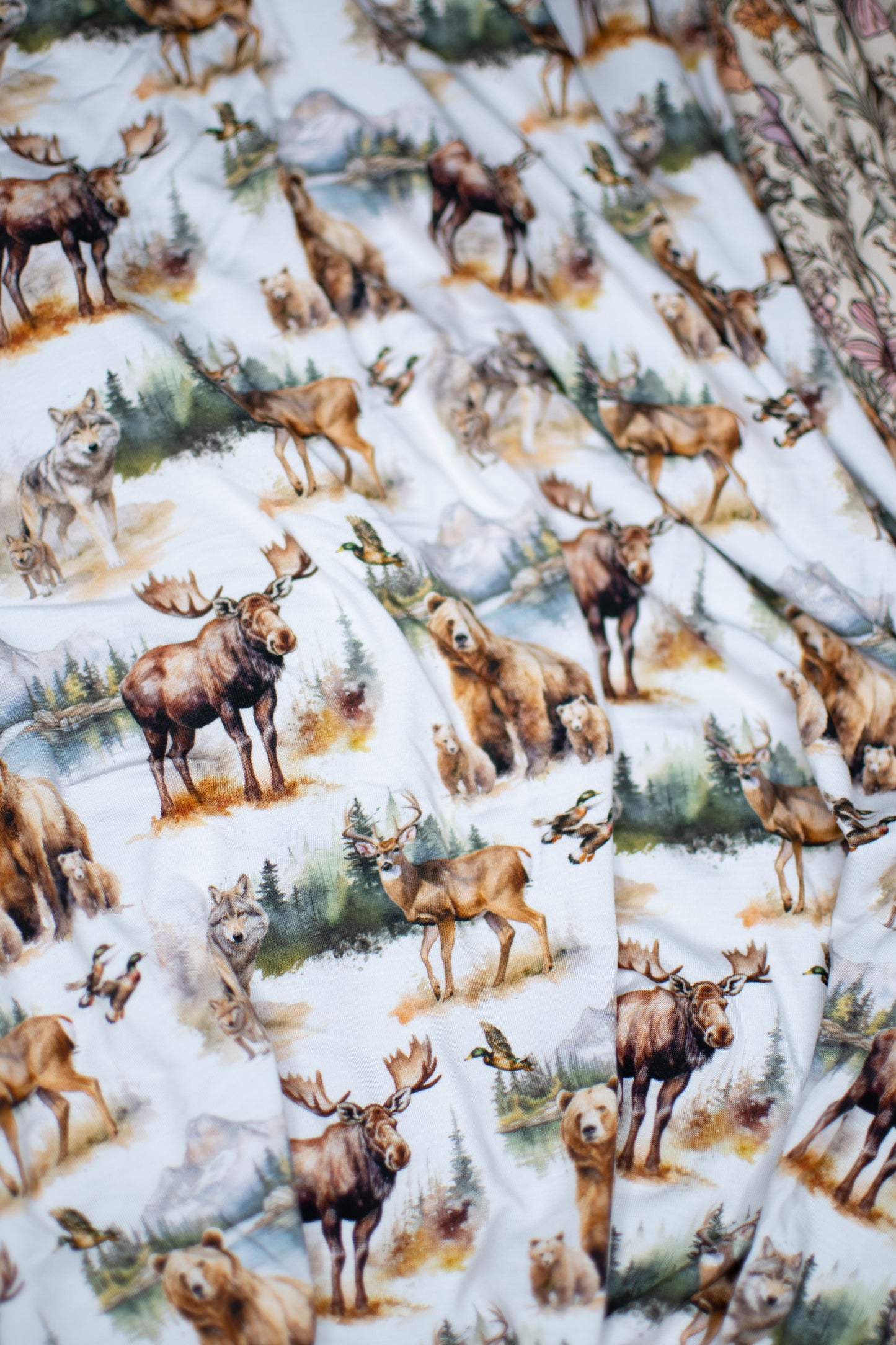 Timber Trails Blanket